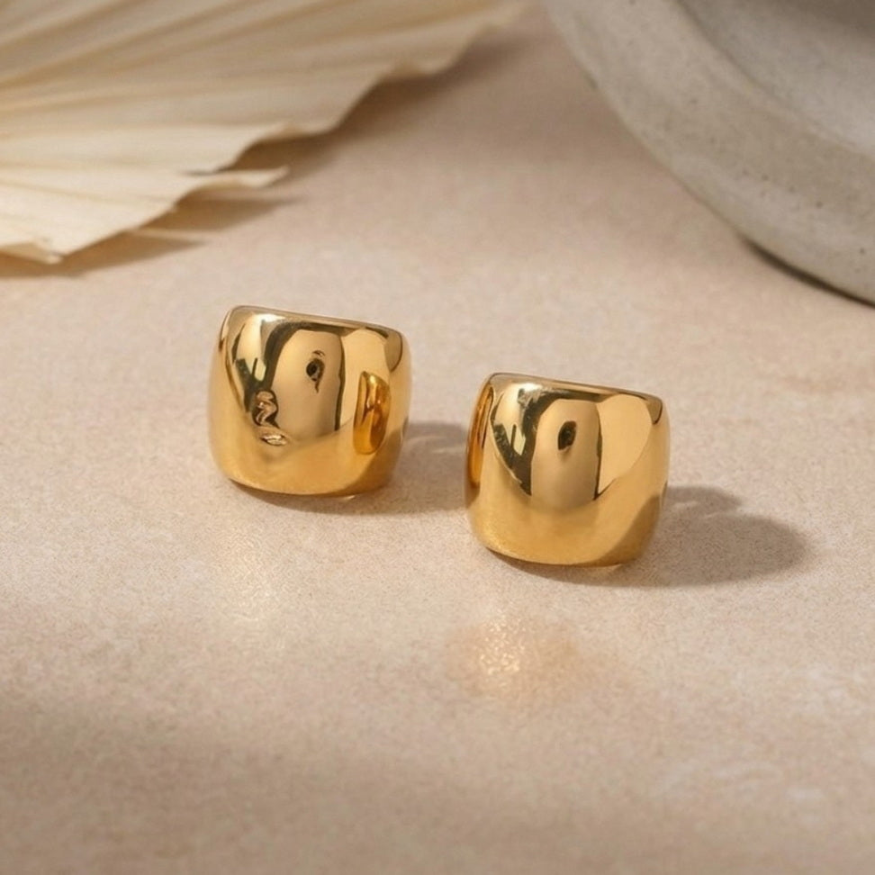 Minimalist Stainless Steel Ear Clips for Effortless Style